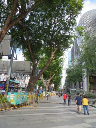 Orchard Road, Singapore