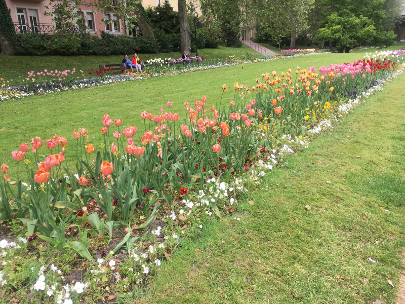 Hévíz, Hévízi Tófürdő, 8380 Hungary