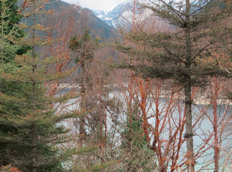 Long Lake - Jiuzhaigou<br/><br/>Long Lake is one of the main attractions in Jiuzhaigou National Park