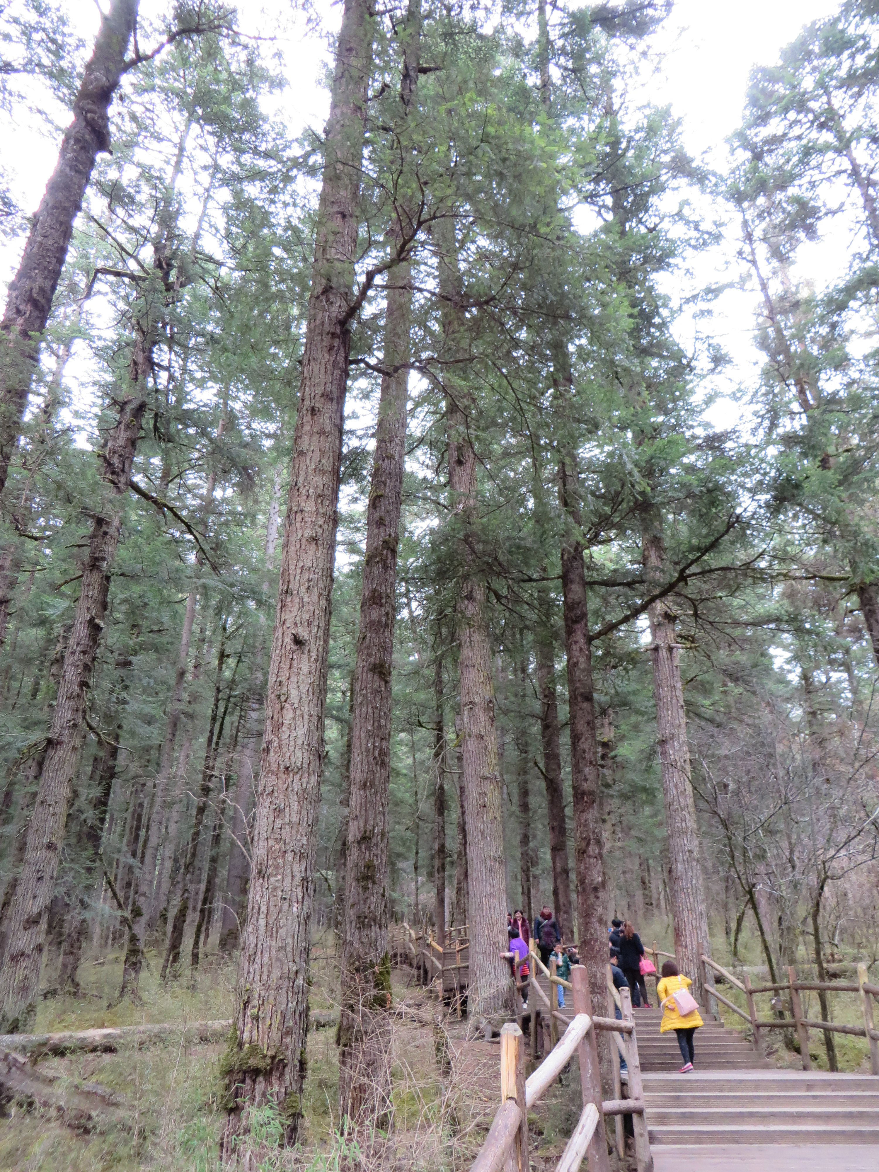 Hiking at Jiuzhaigou<br/><br/>The best hiking that I have ever done was in Jiuzhaigou National Park.