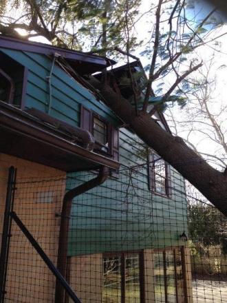 2017-02-13 A tree fell on the twins' room
