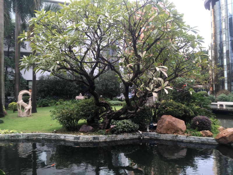 Panyu, Guangzhou, Guangdong, China