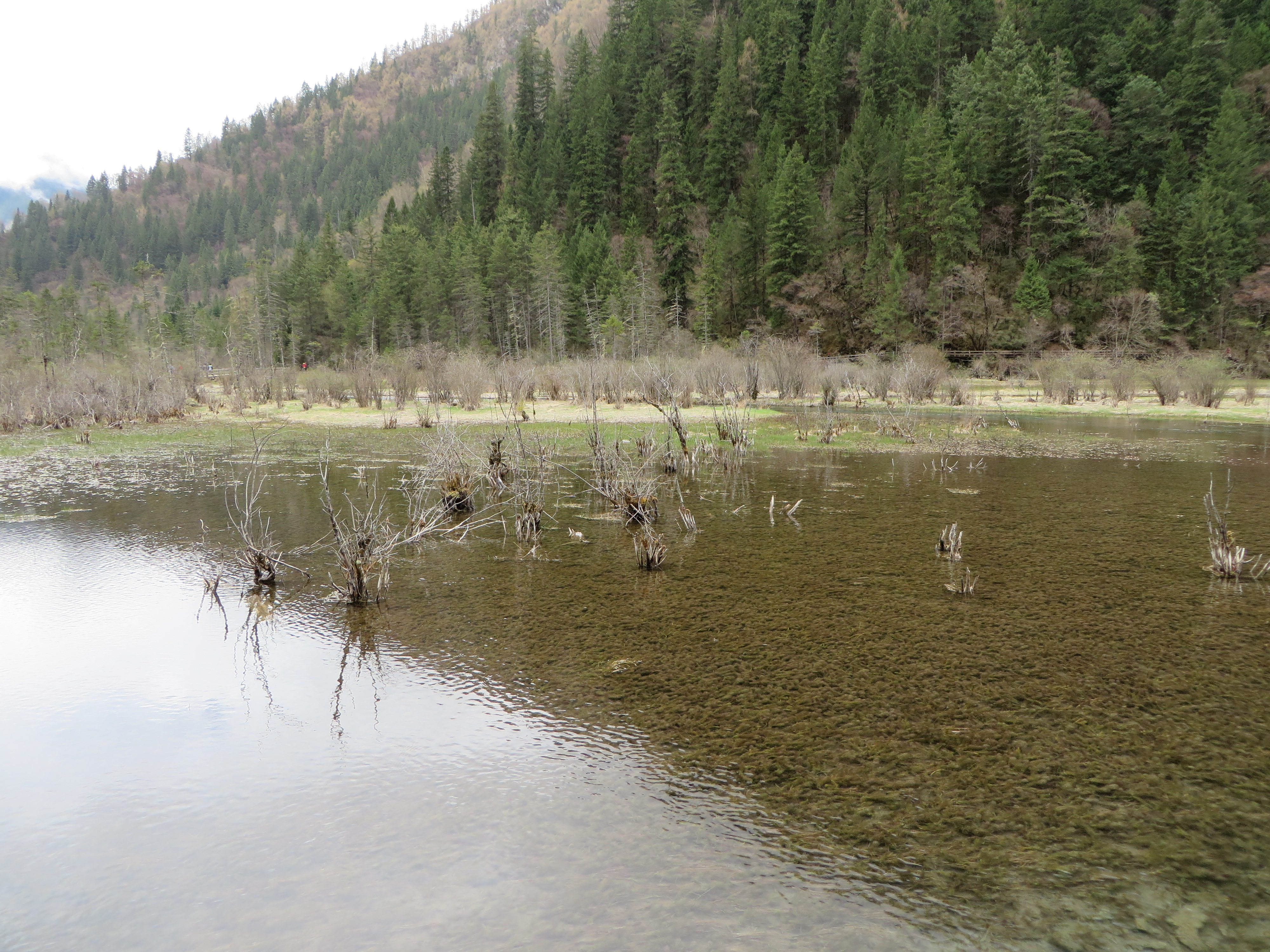 Arrow Bamboo Lake - Jiuzhaigou<br/><br/>Arrow Bamboo Lake is one of the lakes at the top of the left
