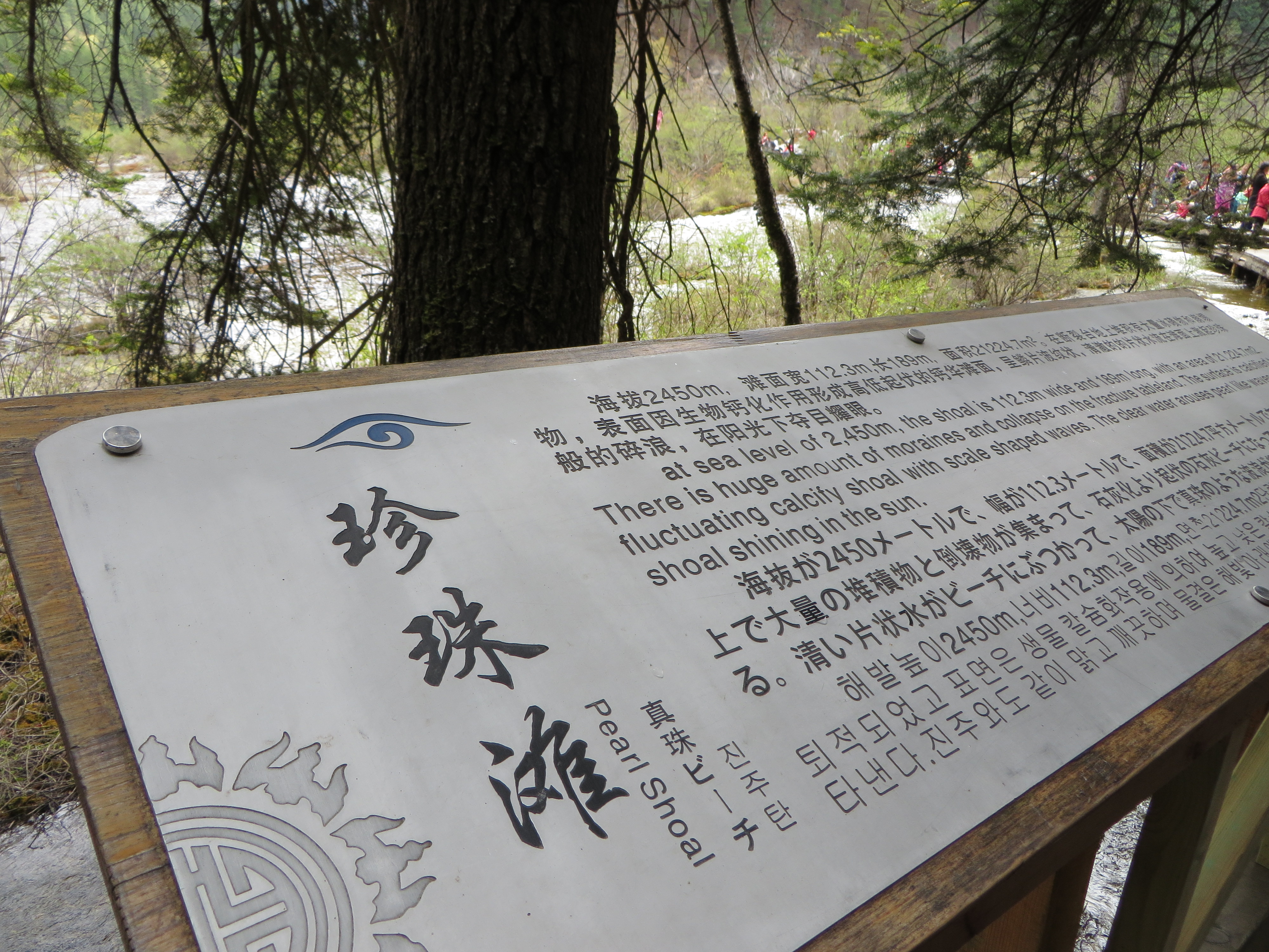 Pearl Shoals - Jiuzhaigou<br/><br/>There was much water in the Shoals.  I was little bit disappointe